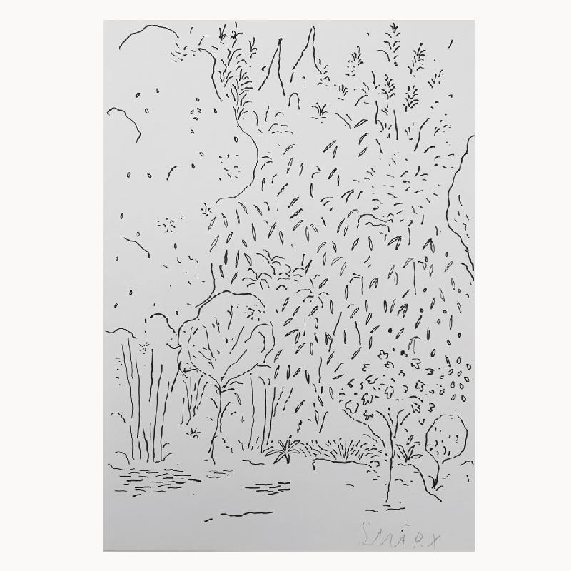 Garden Cologne - ink on paper Bild